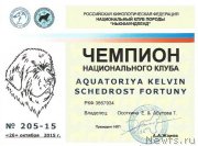 Превью фото № 194851