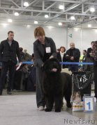 Превью фото № 194992