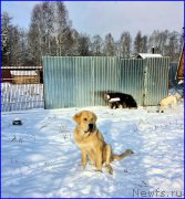 Превью фото № 195034