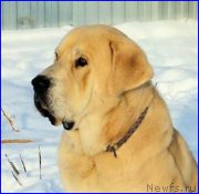 Превью фото № 195056