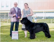 Превью фото № 195060