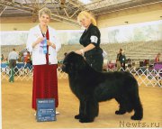 Превью фото № 195061