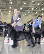 Превью фото № 195071