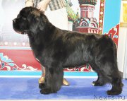 Превью фото № 195078