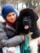 Превью фото № 195096