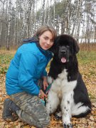 Превью фото № 195097