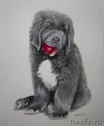 Превью фото № 195115