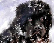 Превью фото № 195131