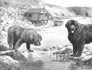 Превью фото № 195158