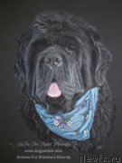 Превью фото № 195164