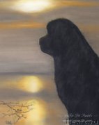 Превью фото № 195171