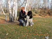 Превью фото № 195181