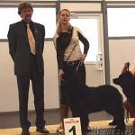 Превью фото № 19523