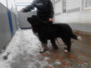 Превью фото № 195294