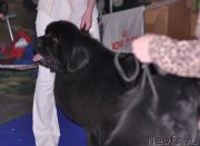 Превью фото № 195307