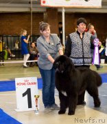 Превью фото № 195314