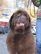 Превью фото № 195324