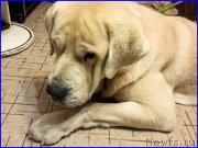 Превью фото № 195331