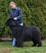 Превью фото № 195514