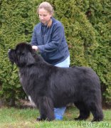 Превью фото № 195520