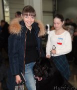 Превью фото № 195576