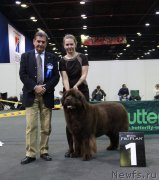 Превью фото № 195580