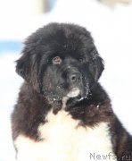 Превью фото № 195656