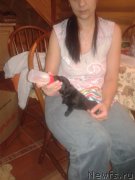 Превью фото № 195726