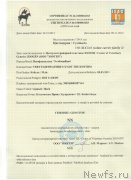 Превью фото № 195846