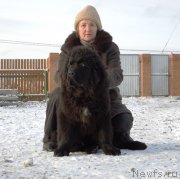 Превью фото № 195888