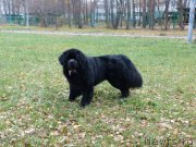 Превью фото № 195923