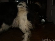 Превью фото № 195941