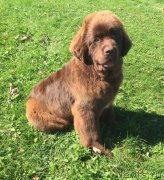 Превью фото № 195993