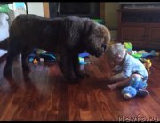 Превью фото № 195996