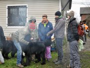 Превью фото № 196015