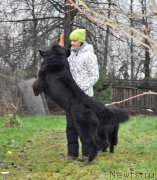 Превью фото № 196027