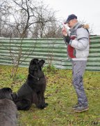 Превью фото № 196028