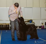 Превью фото № 196066