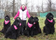 Превью фото № 196072