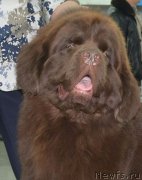 Превью фото № 196075