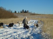 Превью фото № 196086