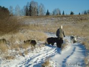 Превью фото № 196087