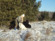 Превью фото № 196088