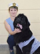 Превью фото № 196108