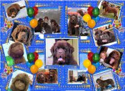 Превью фото № 196121