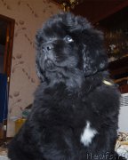 Превью фото № 196133