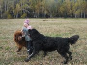 Превью фото № 196263