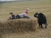 Превью фото № 196266