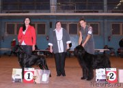 Превью фото № 196341