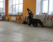 Превью фото № 196364